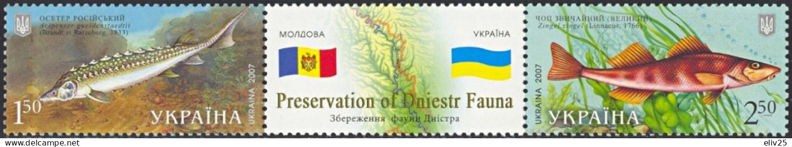 Ukraine 2007, Fish - 2 V. & A Tab MNH - Fishes