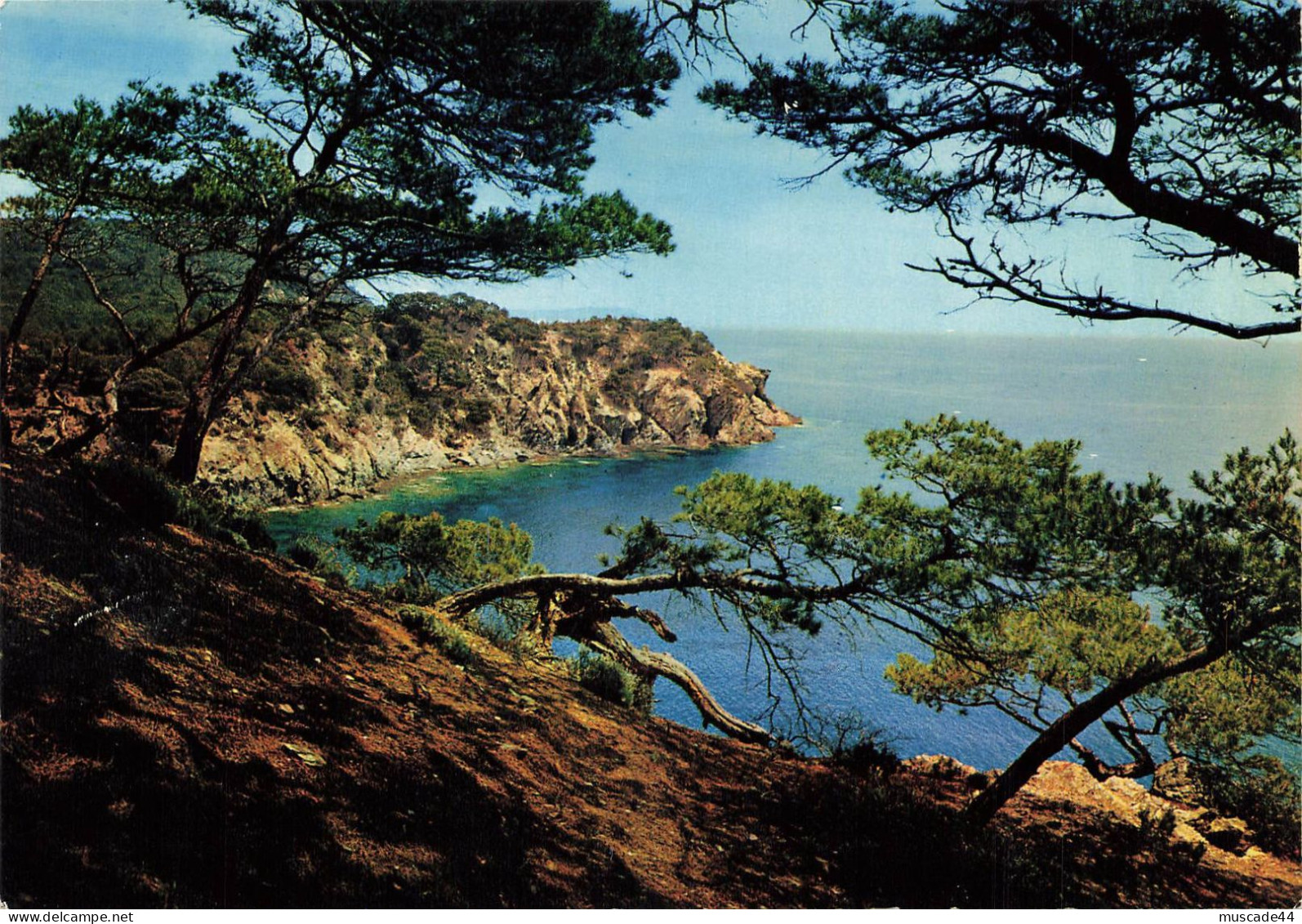 MEDITERRANEE AUX RIVAGES SANS NUAGES - CALANQUE AUX REFLETS D OR - Provence-Alpes-Côte D'Azur