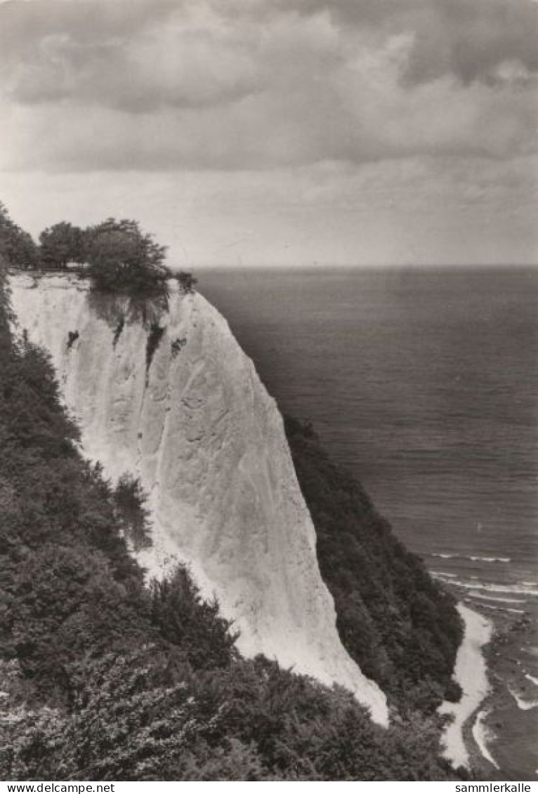 67377 - Rügen - Stubbenkammer, Königsstuhl - 1981 - Rügen