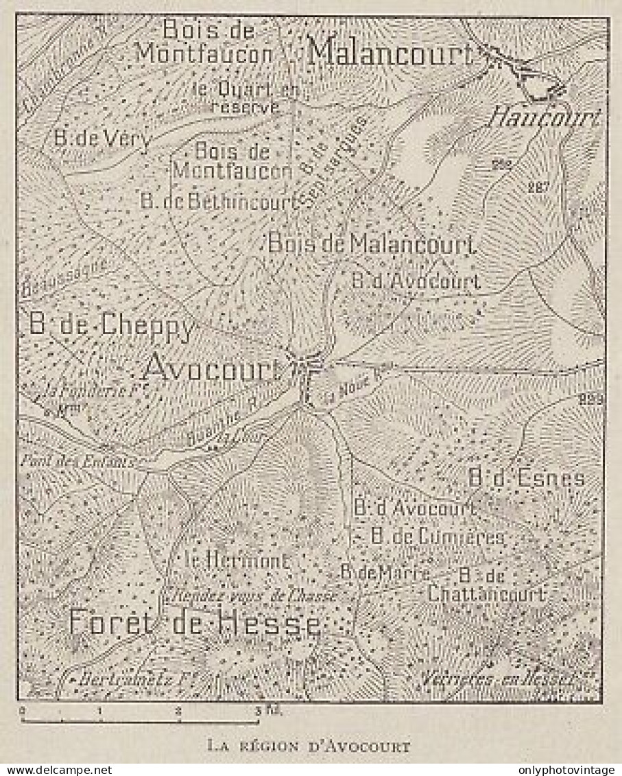 France - La Région D'Avocourt - 1916 Mappa Epoca - Vintage Map - Cartes Géographiques