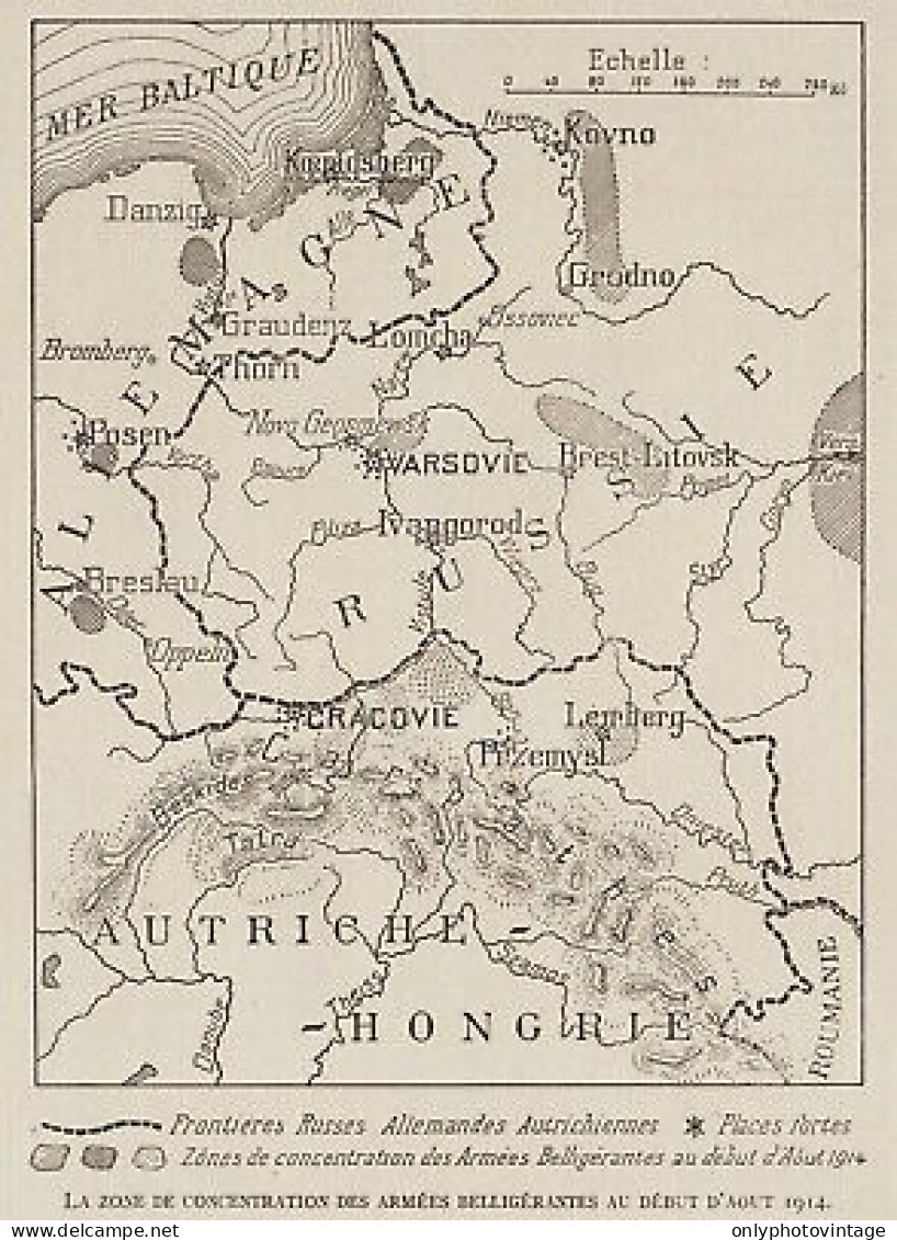 Alemagne - Autriche - Hongrie - Russie - Armées Belligérantes - 1915 Map - Cartes Géographiques