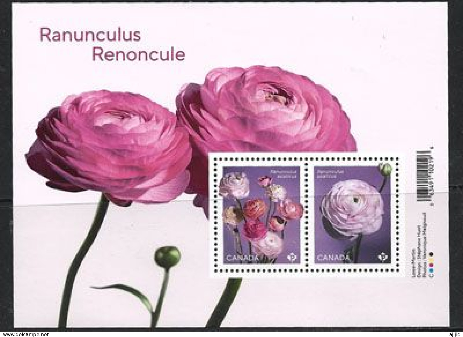 Fleur: La Renoncule. Bloc-feuillet Neuf ** - Unused Stamps