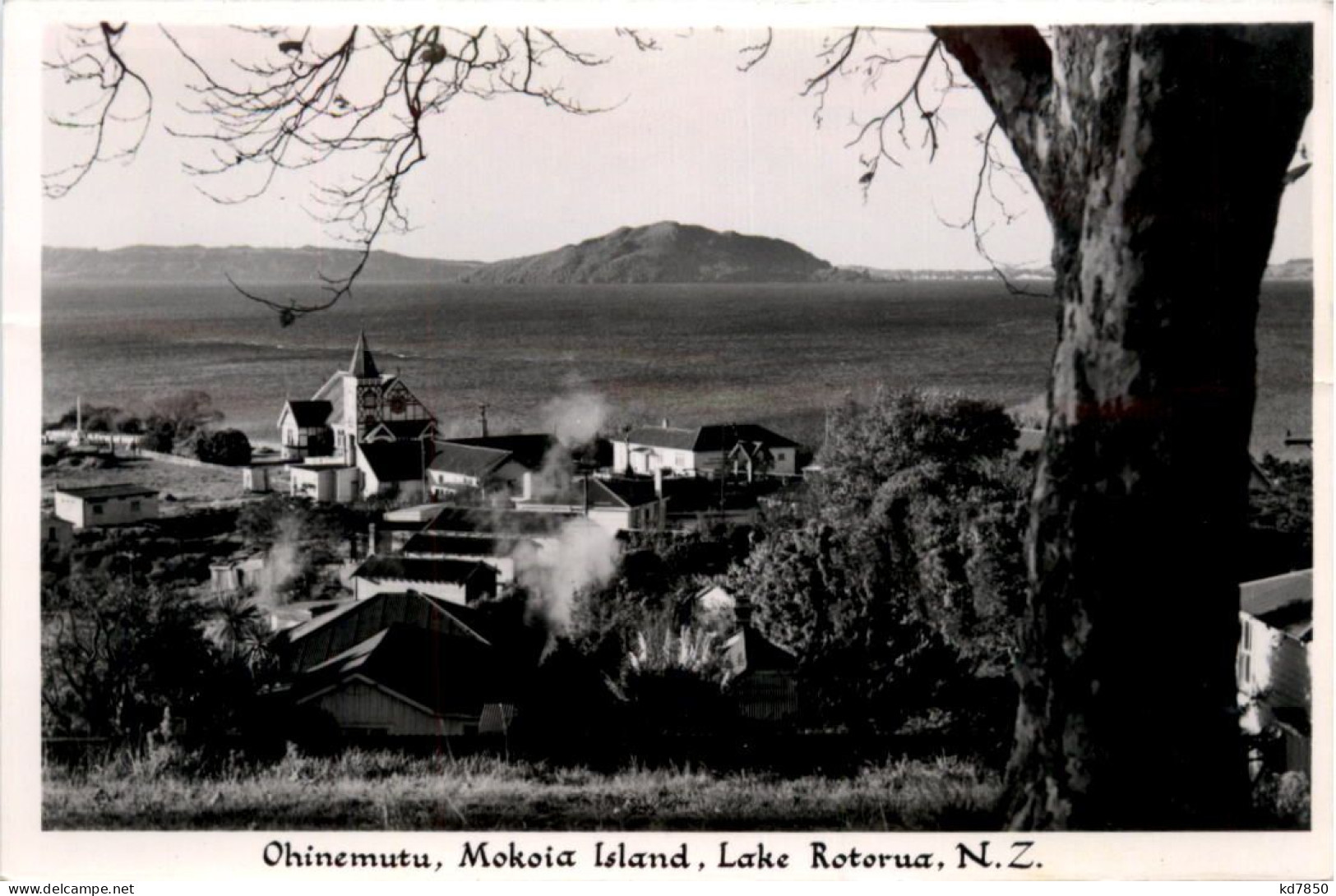 New Zealand - Ohinemutu - Mokoia Island - Nuova Zelanda