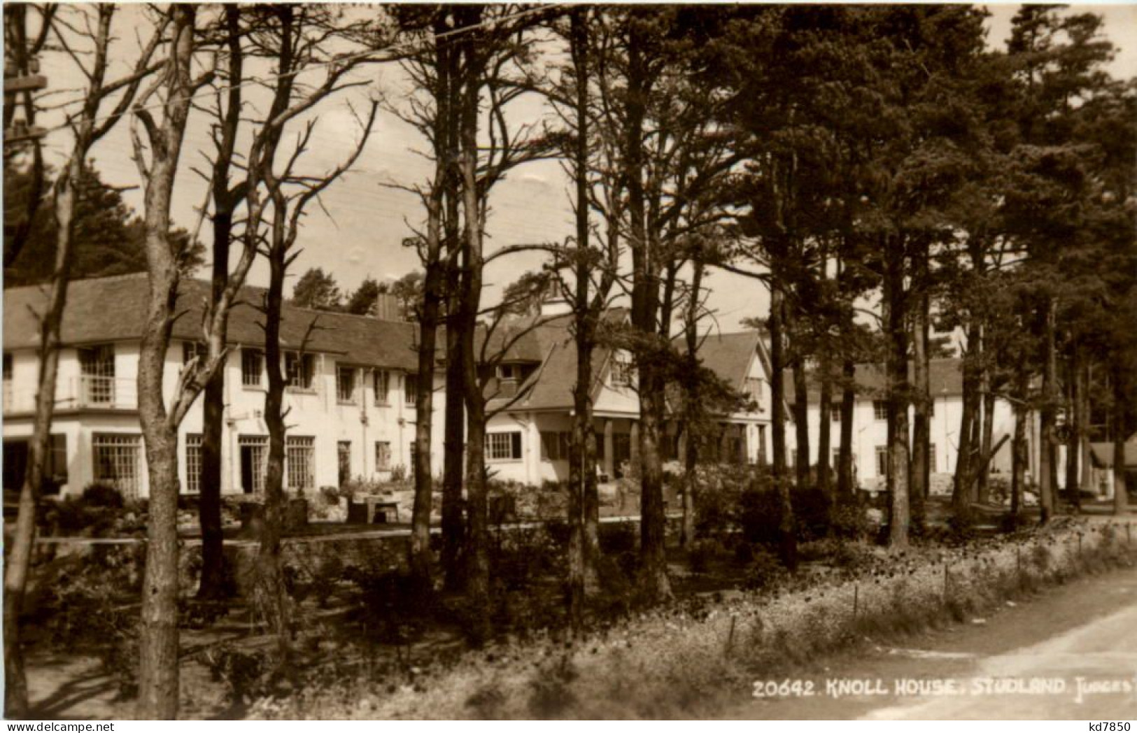 Knoll House - Studland - Sonstige & Ohne Zuordnung