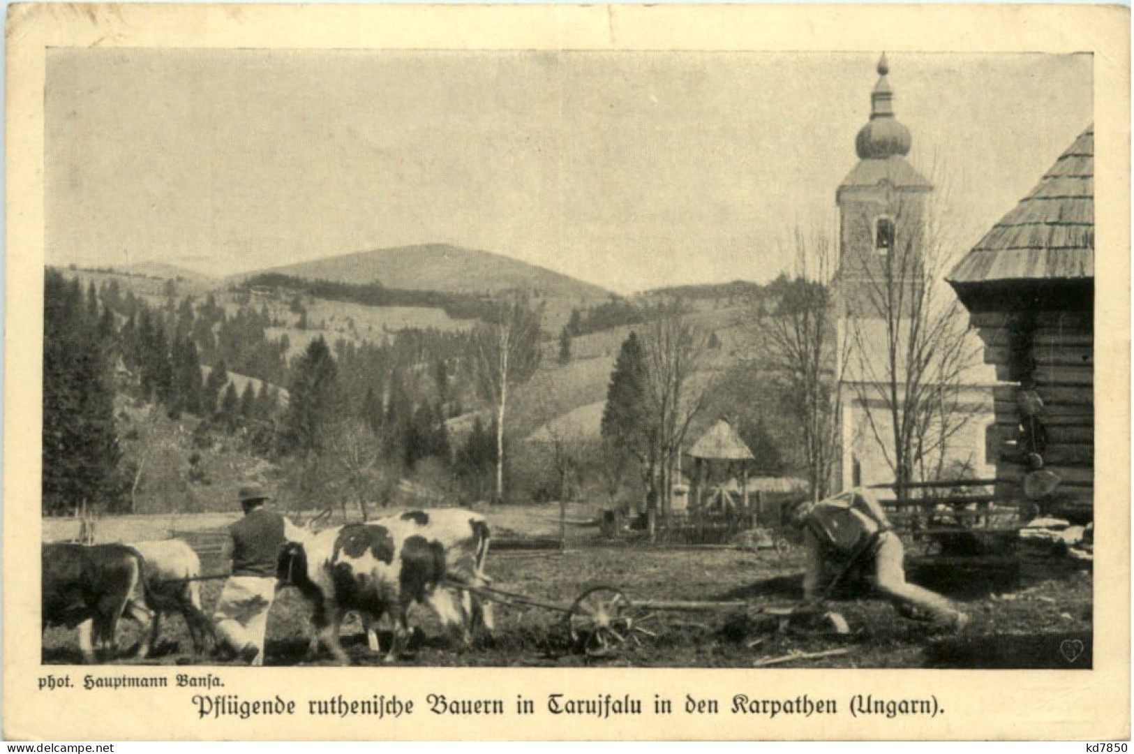 Ruthenische Bauern In Tarujfalu - Hongarije