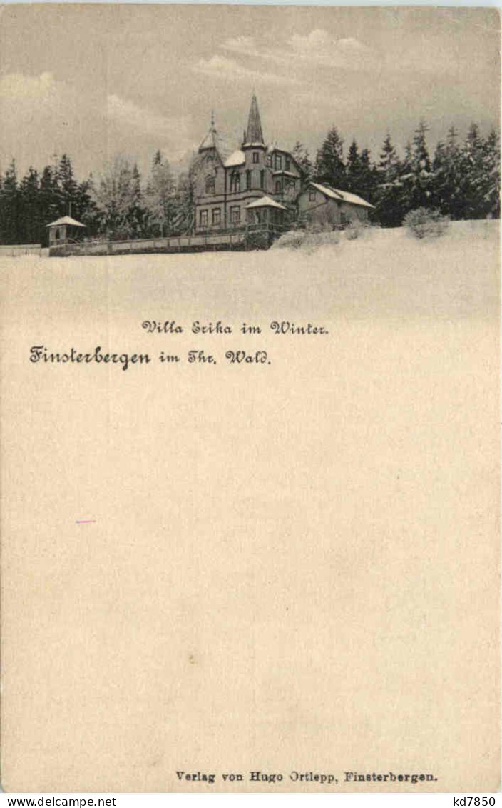 Finsterbergen - Friedrichroda - Villa Erika Im Winter - Friedrichroda