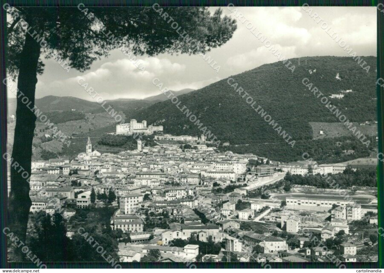 Perugia Spoleto Foto FG Cartolina ZK4677 - Perugia