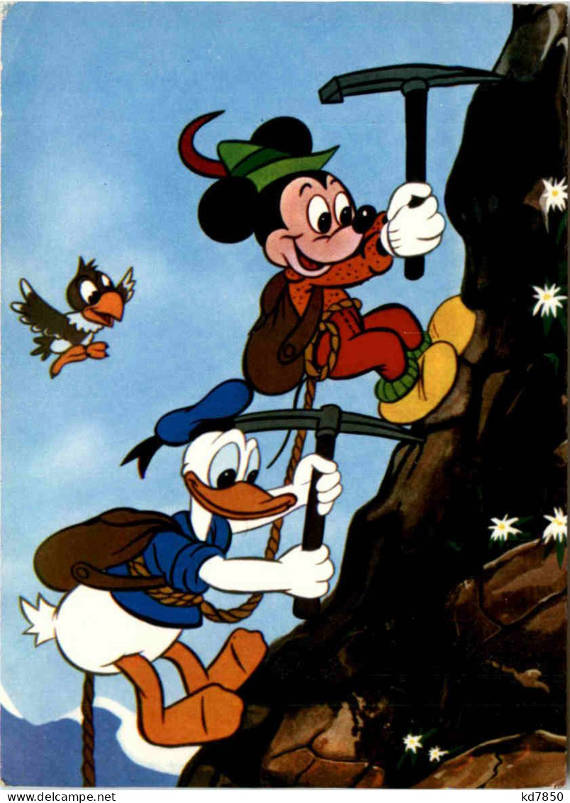 Mickey Mouse - Donald Duck - Andere & Zonder Classificatie