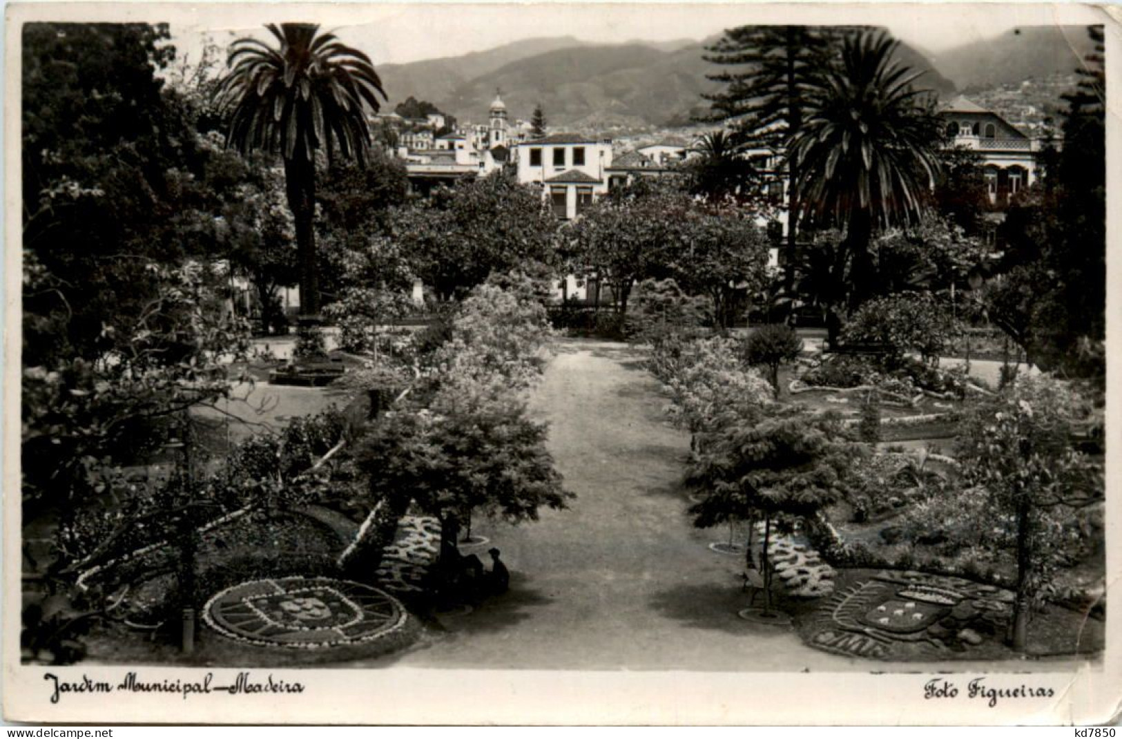 Madeira - Jardim Municipal - Madeira