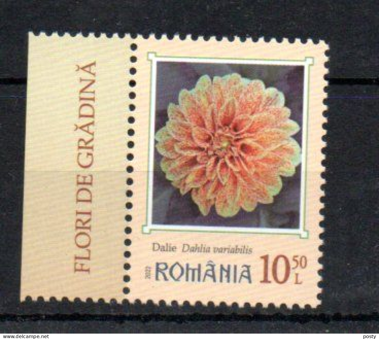 ROUMANIE - ROMANIA - 2022 - FLEURS - FLOWERS - BLUMEN - DAHLIA VARIABILIS - 10,50L - - Nuevos