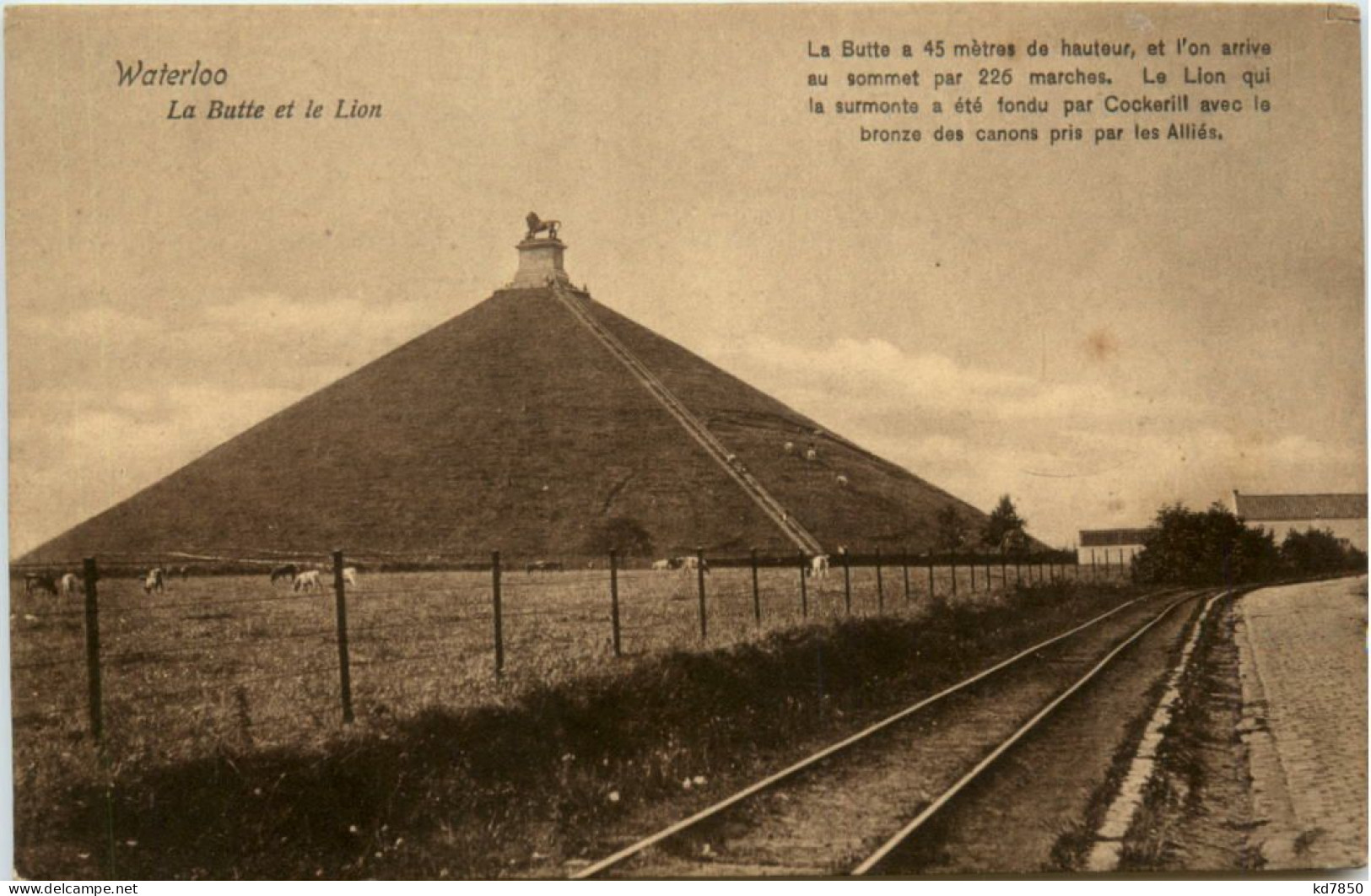 Waterloo - La Butte Et Le Lion - Waterloo