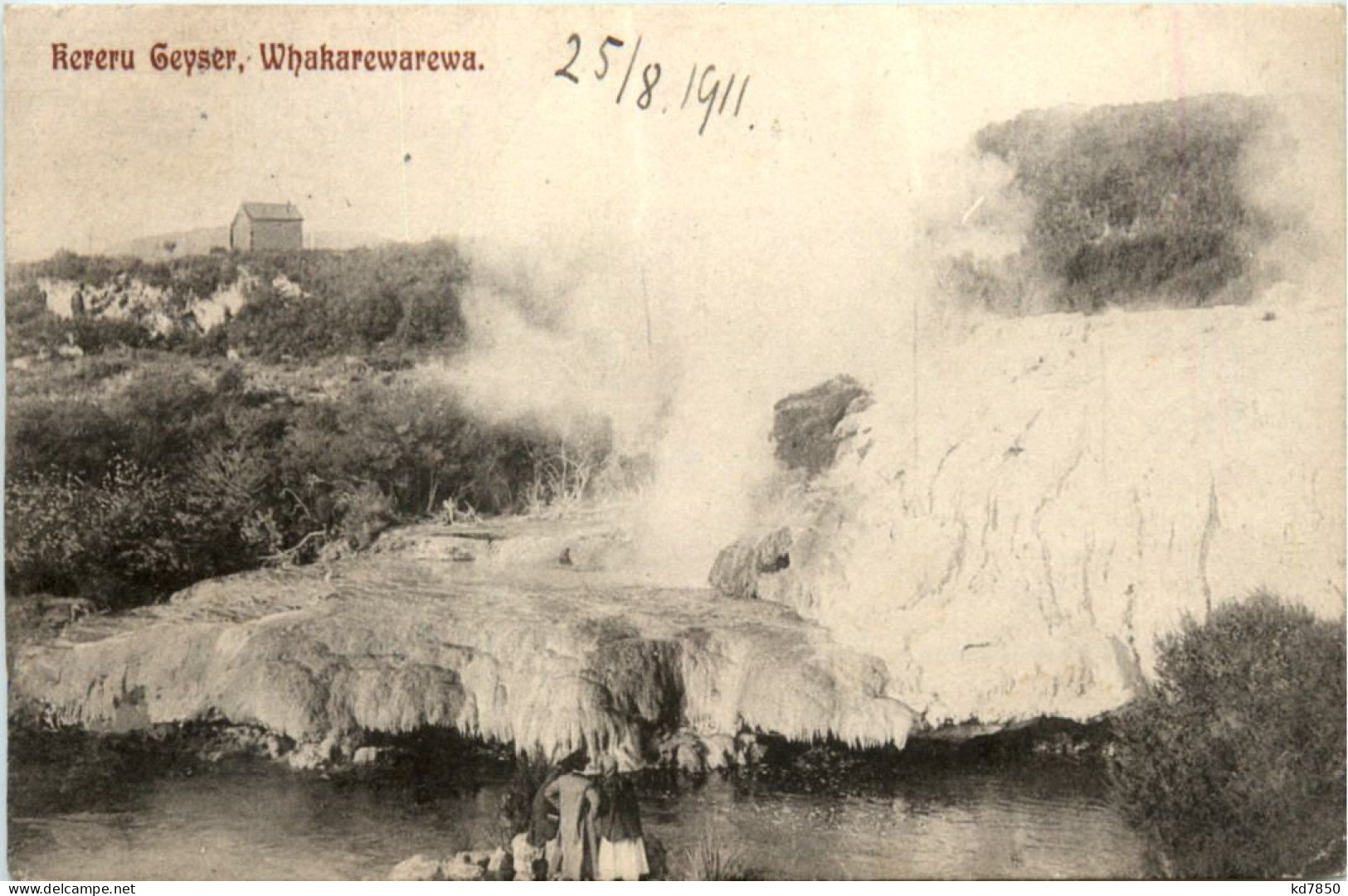 Whakarewarewa - Kereru Geyser - New Zealand - New Zealand