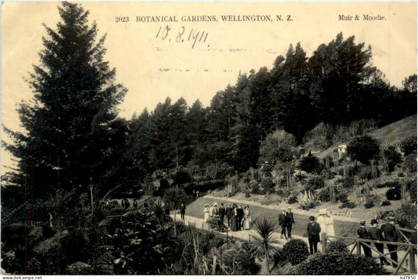 Wellington - Botanical Gardens - New Zealand - Nieuw-Zeeland