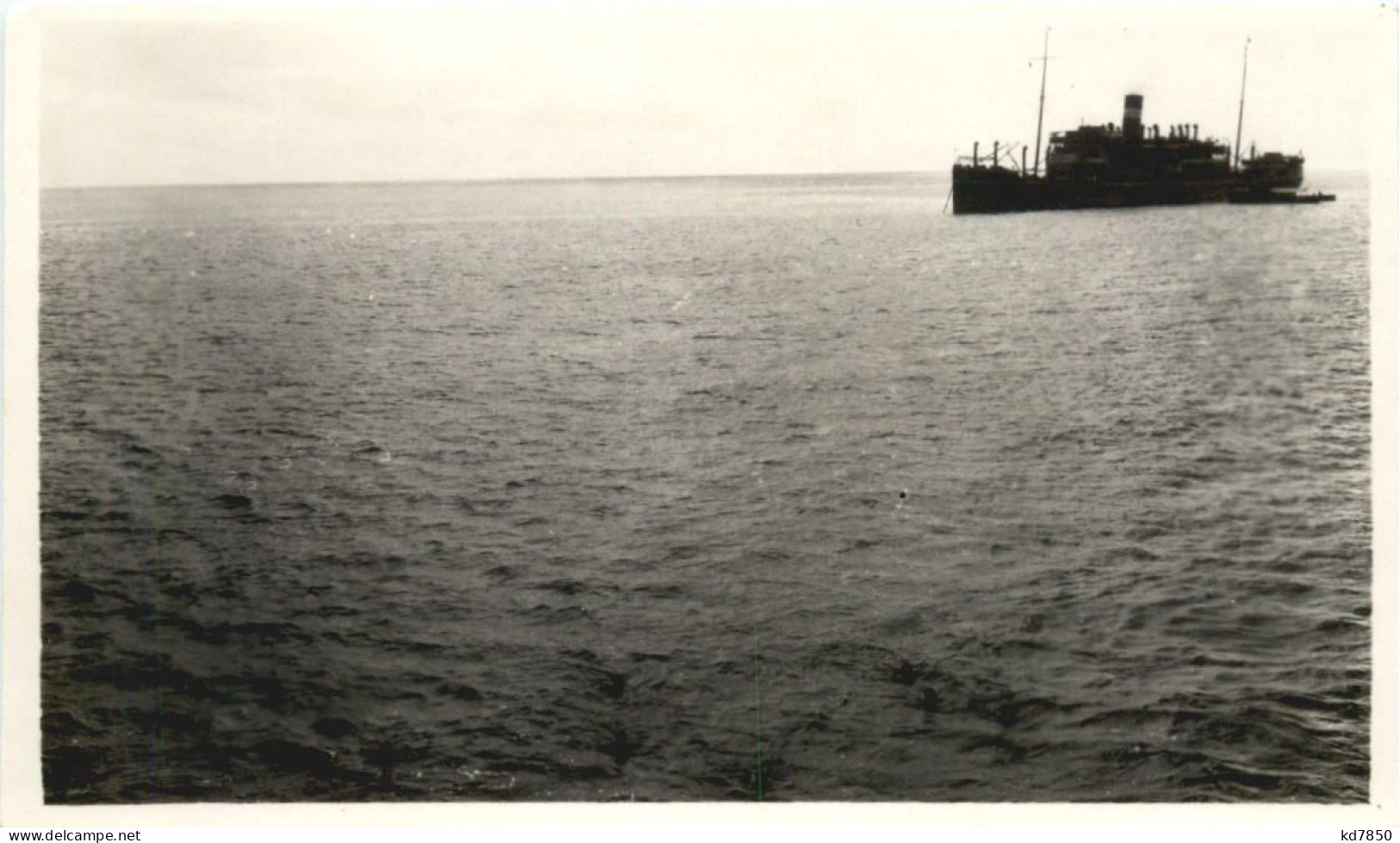 Taucher Im Hafen Von Zanzibar - Tanzanie