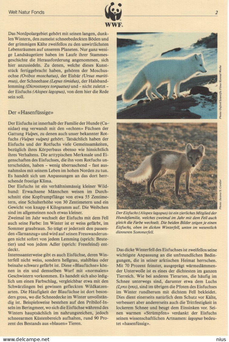 Finland Suomi 1993 WWF W.W.F. Eisfuchs Polarfuchs Eis-fuchs Arctic Fox Fauna Renard Polaire - Ungebraucht