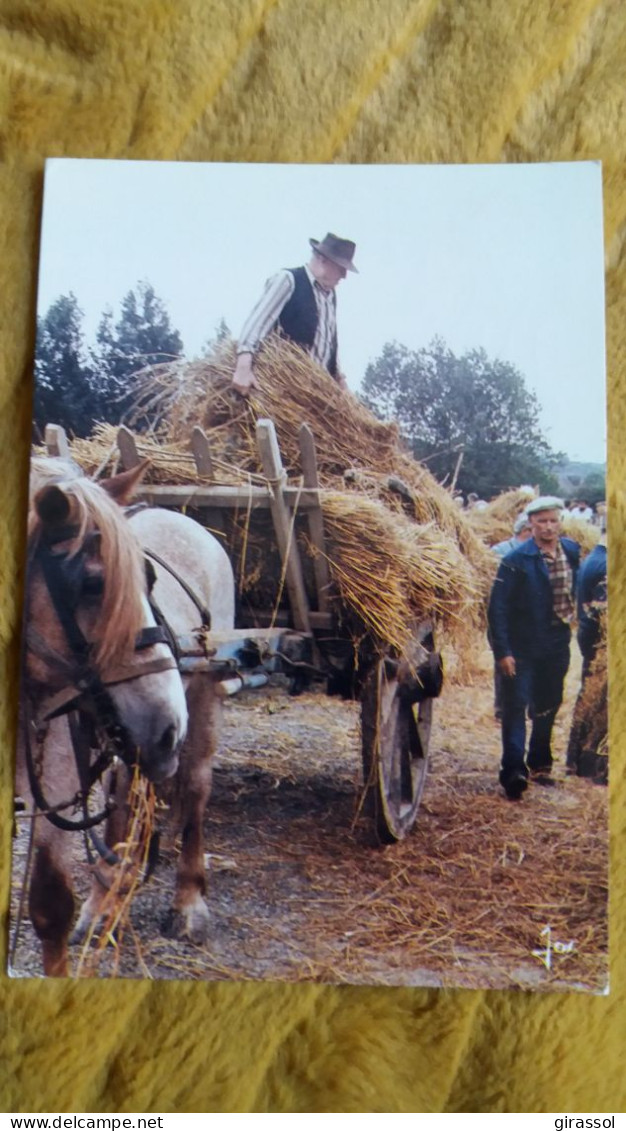 CPM CHEVAL ATTELE ATTELAGE BRETAGNE FETE DE LA MOISSON ED JOS 1987 - Chevaux