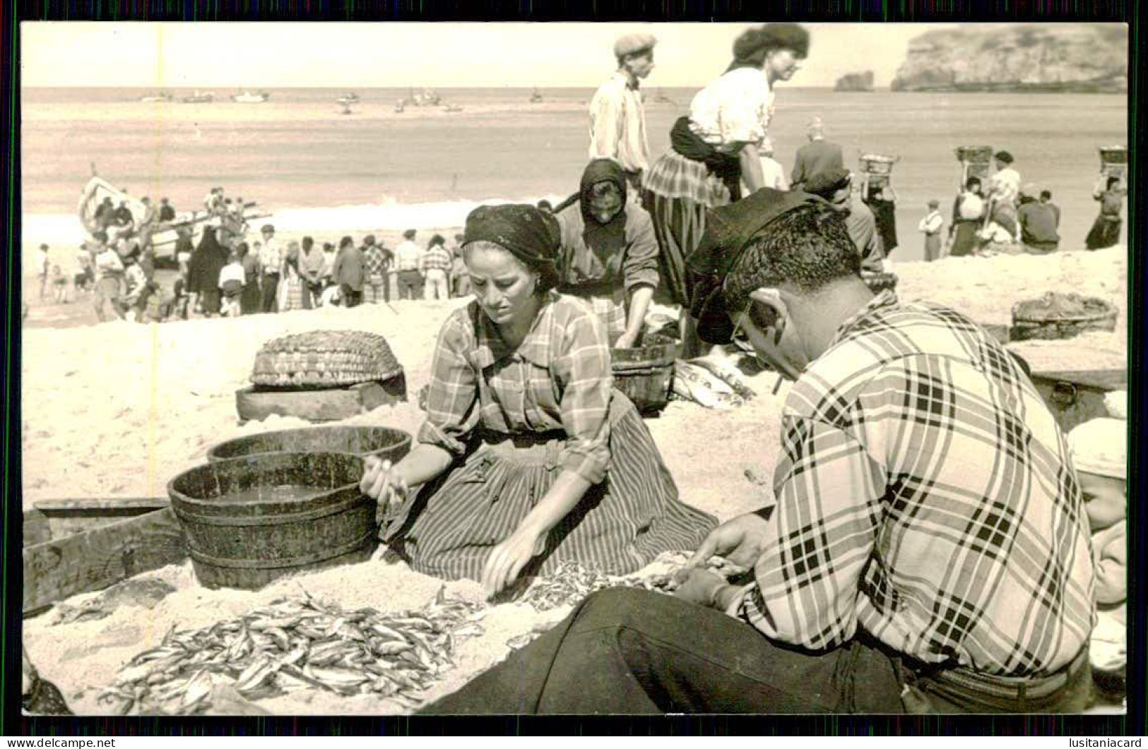 NAZARÉ - COSTUMES - Escolhendo O Peixe. ( Ed. Das Fotografias De Carlos Vitorino Nº 6 ) Carte Postale - Leiria