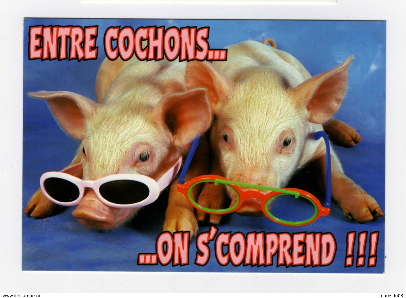 CPM ENTRE COCHONS...   ....ON S'COMPREND!!!  Carte Neuve - Humour