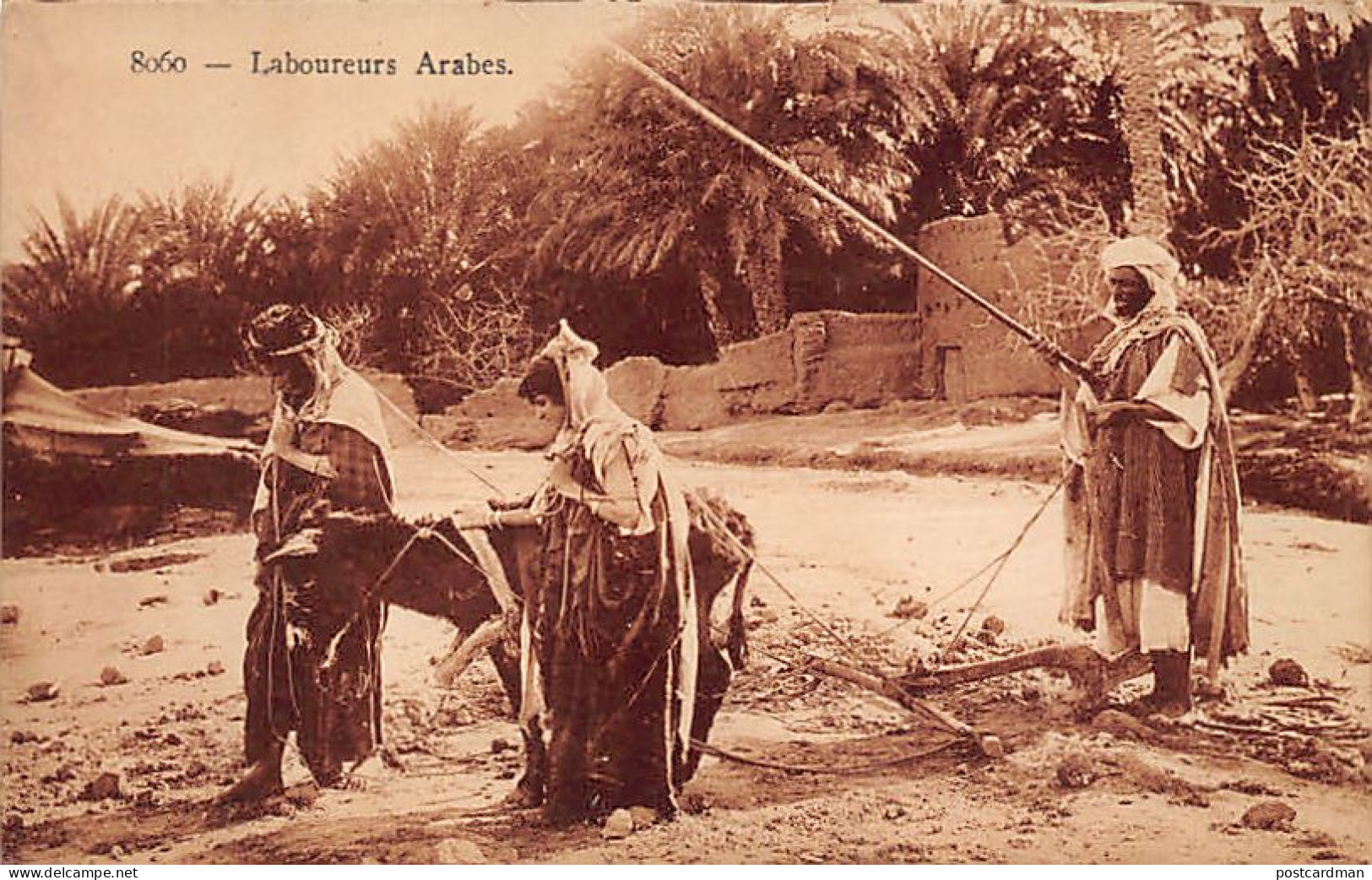 Algérie - Laboureurs Arabes - Femmes Attelées - Ed. ADIA 8060 - Professions