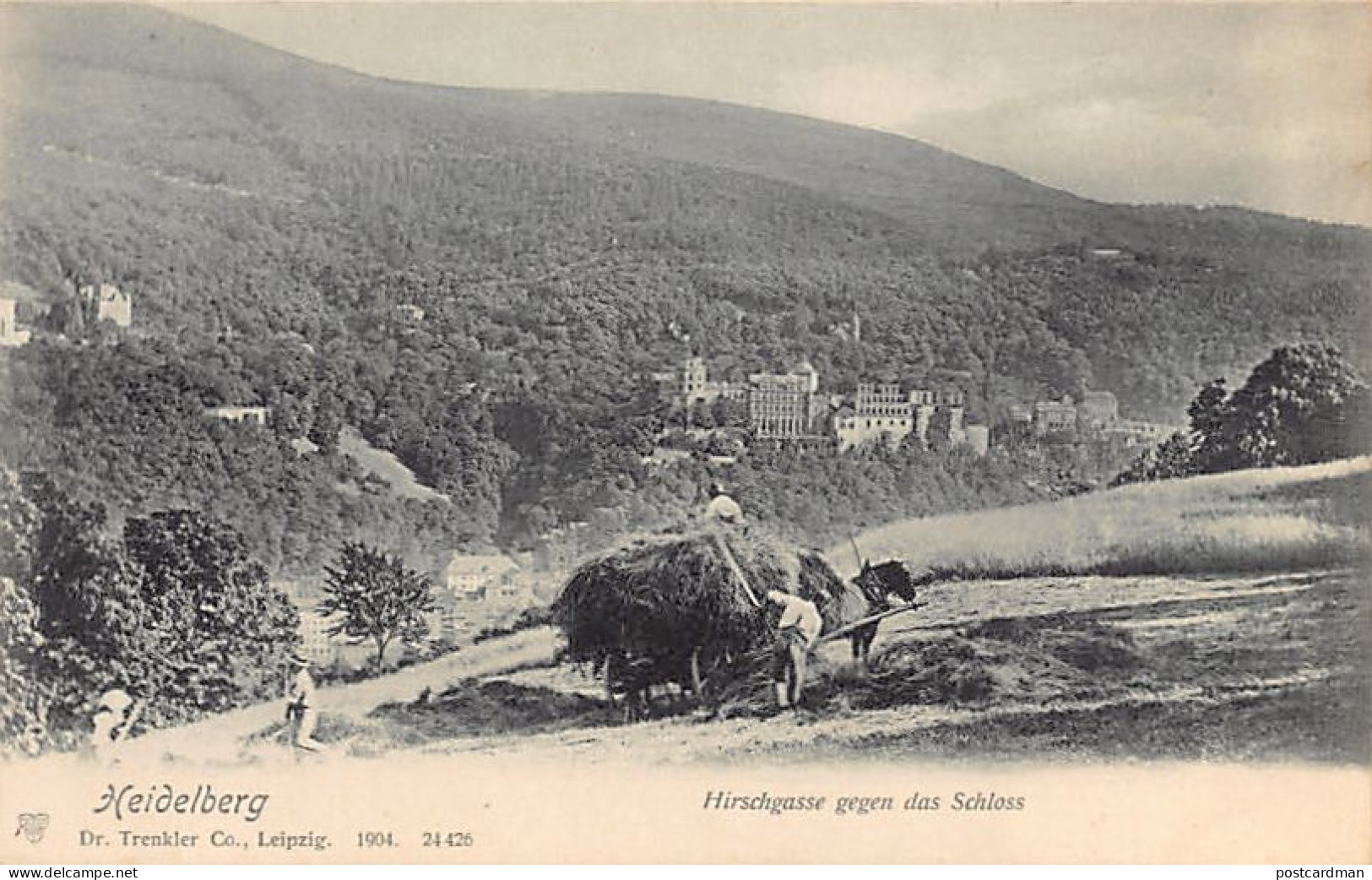 Deutschland - HEIDELBERG - Hirschgasse Gegen Das Schloss - Heuernte  - Heidelberg