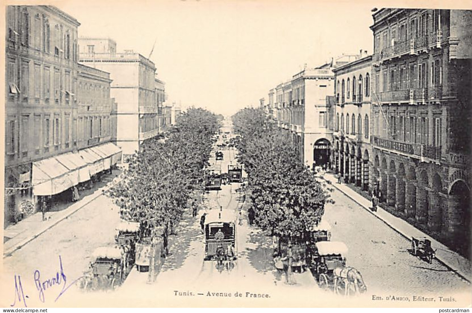 Tunisie - TUNIS - Avenue De France - Ed. Em. D'Amico  - Tunisia