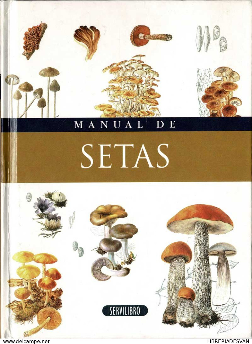 Manual De Setas - Mª José López, Isabel Ortiz - Vita Quotidiana