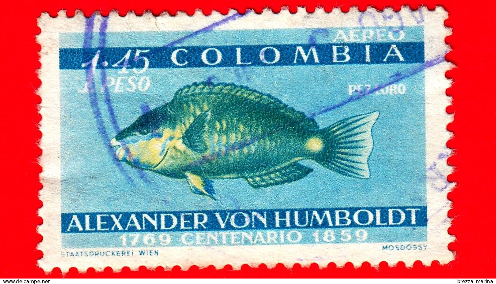 COLOMBIA - Usato -  1960 - Alexander Von Humboldt (1769-1859) -  Naturalista Tedesco - Pesci - Pez Loro - 1.45 P.a. - Kolumbien