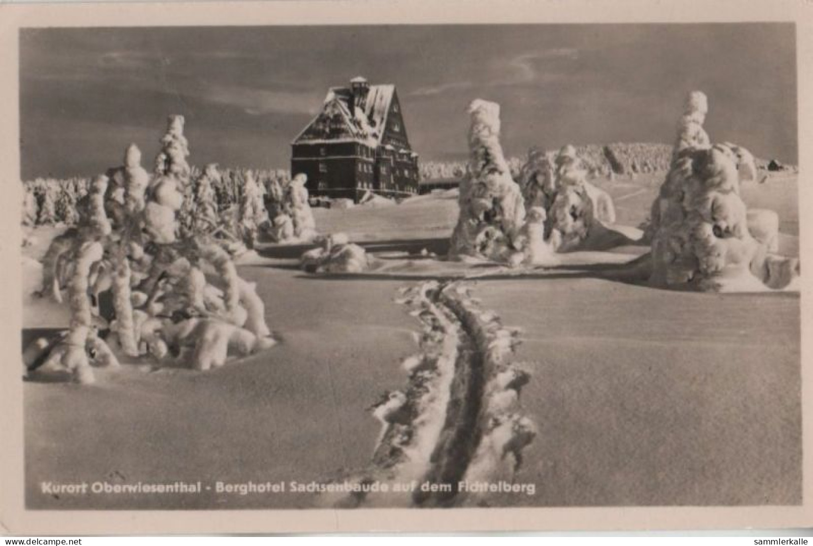 46973 - Oberwiesenthal - Berghotel Sachsenbaude - 1954 - Oberwiesenthal