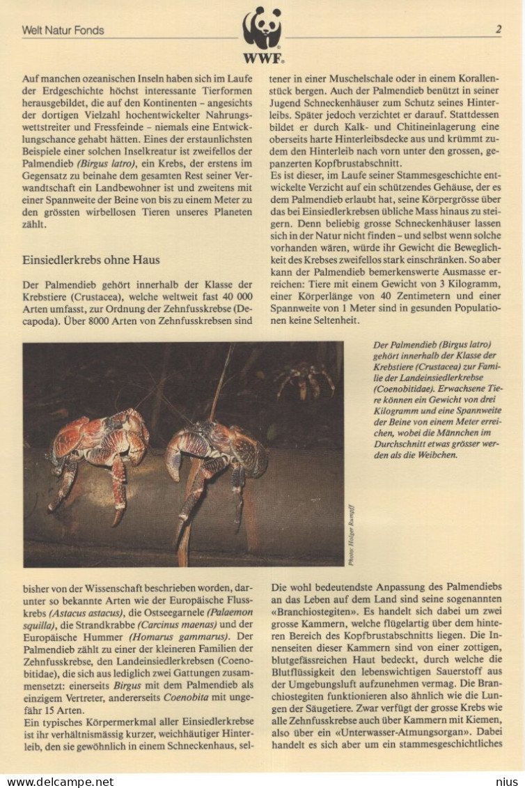British Indian Ocean Territory 1993 WWF W. W. F. Set Of Mint Stamps, Coconut Crab Kokosdief Fauna - Neufs