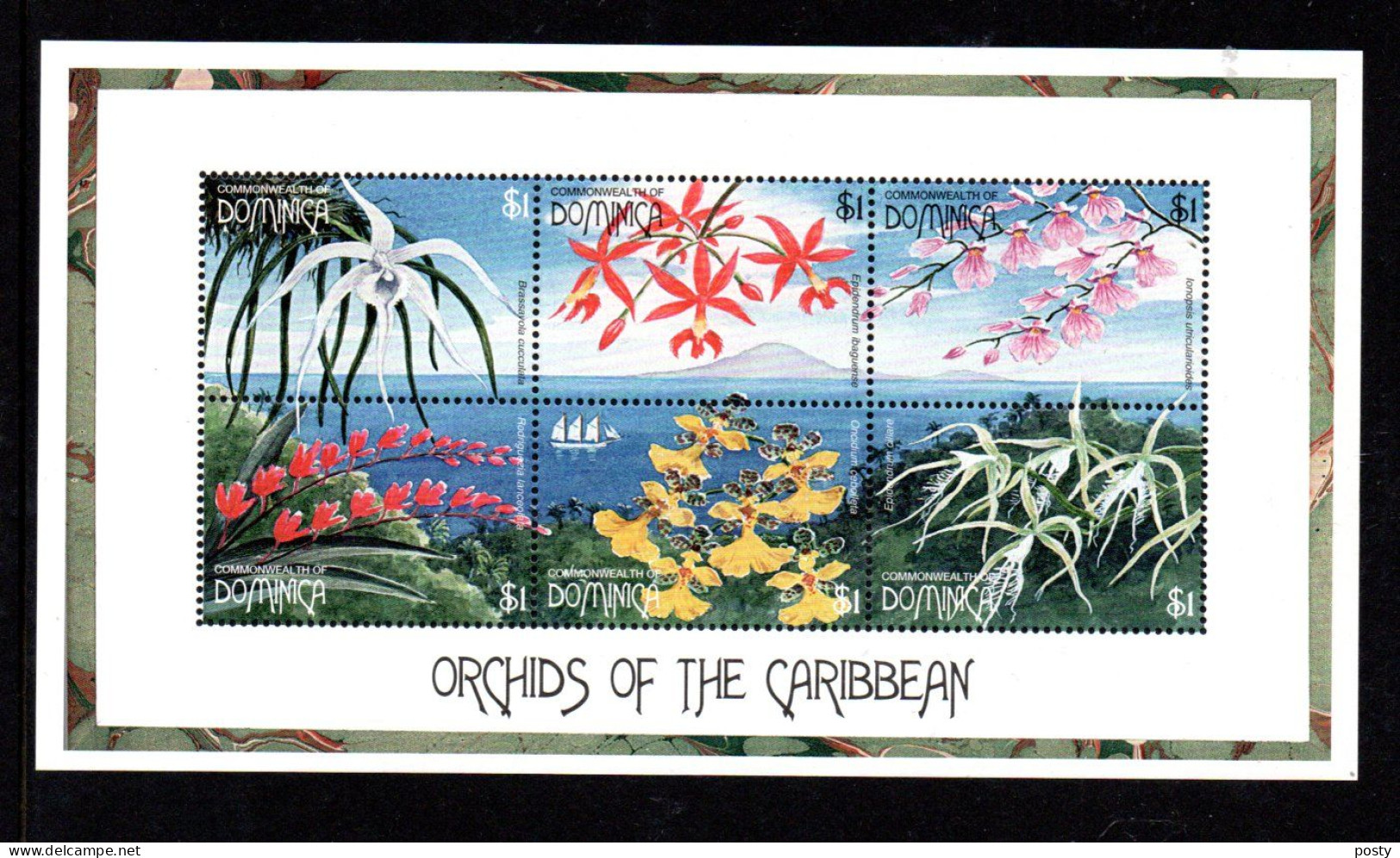 DOMINIQUE - DOMINICA - B/F - M/S - 1997 - FLEURS - FLOWERS - BLUMEN - ORCHIDEES DES CARAIBES - ORCHIDS OF THE CARIBBEAN - Dominica (1978-...)