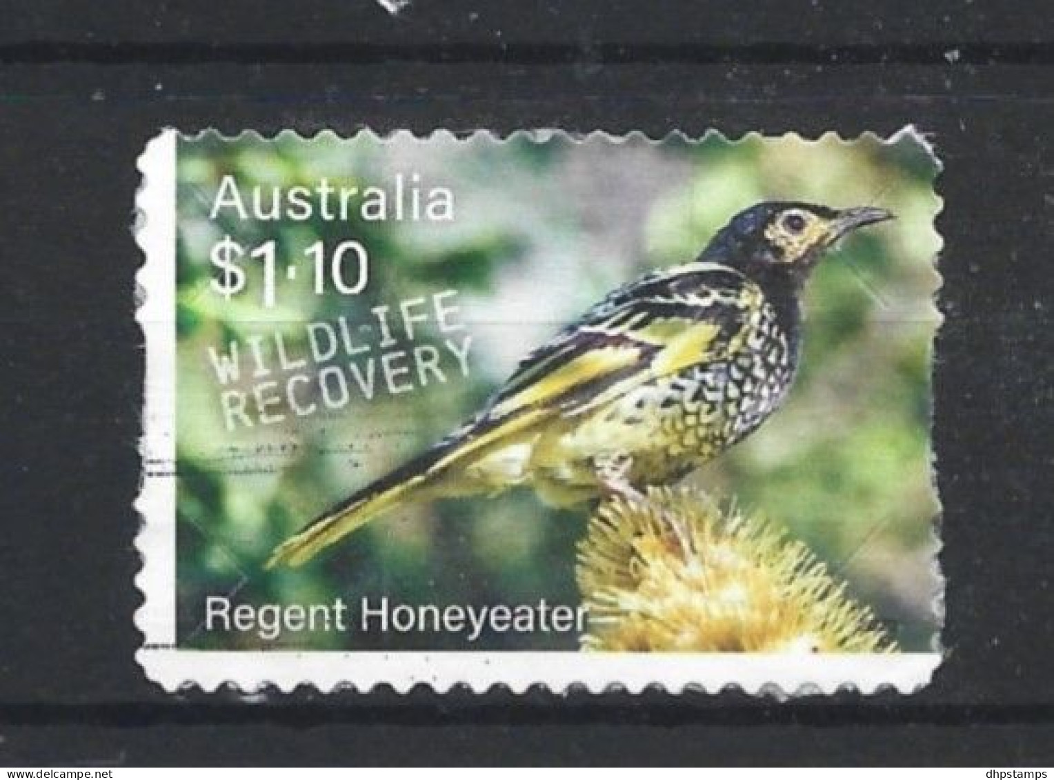 Australia 2020 Bird S.A. Y.T. 4974 (0) - Used Stamps