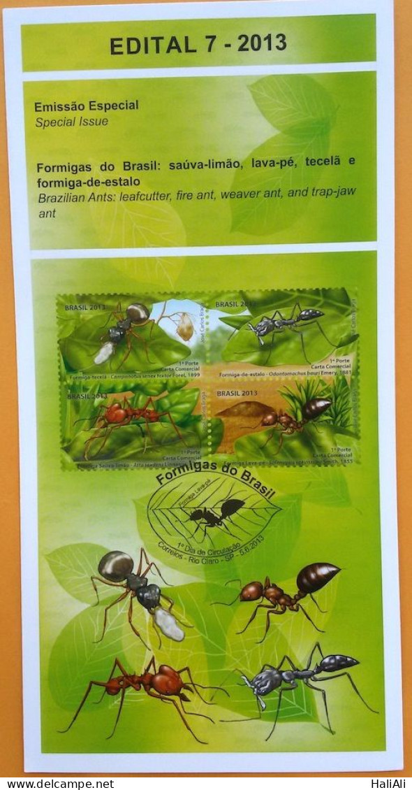 Brochure Brazil Edital 2013 07 Ants Insects Without Stamp - Lettres & Documents