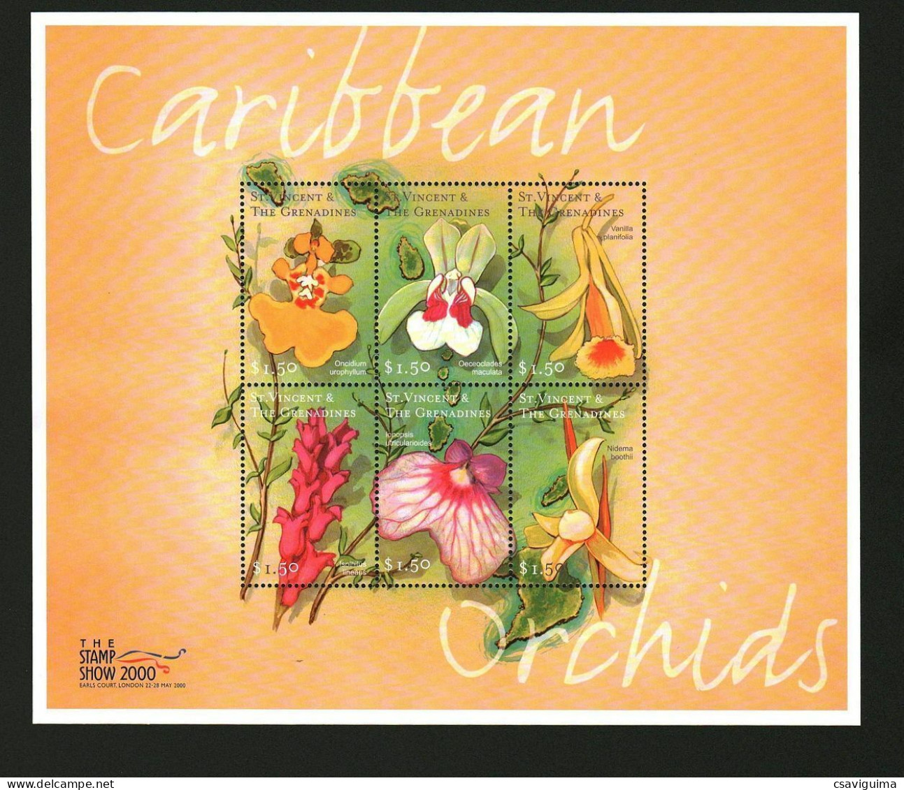 St Vincent - 2000 - Flowers: Caribbean Orchids - Yv 4076/81 - Orchidées