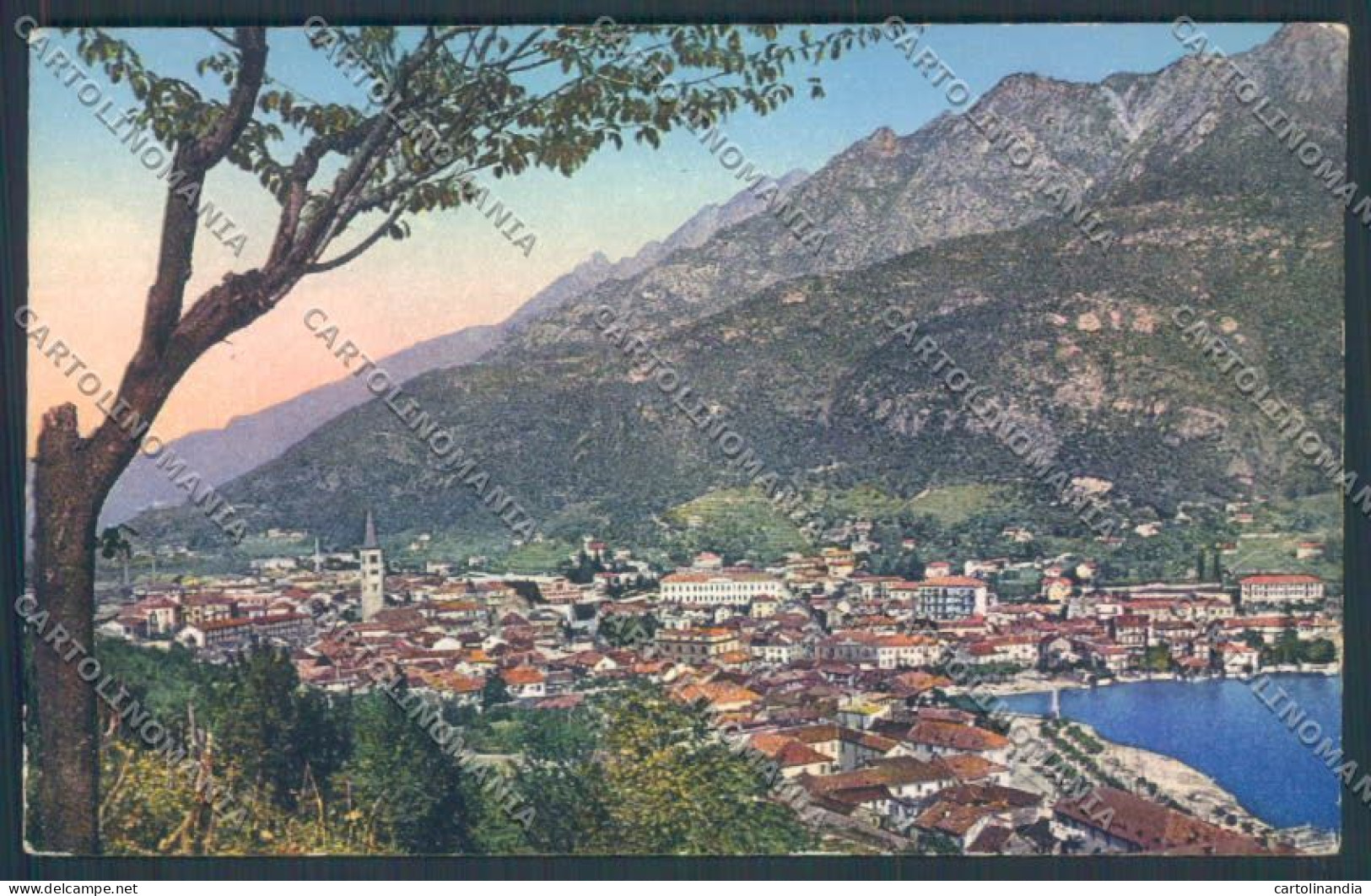 Verbania Omegna Cartolina ZQ7752 - Verbania