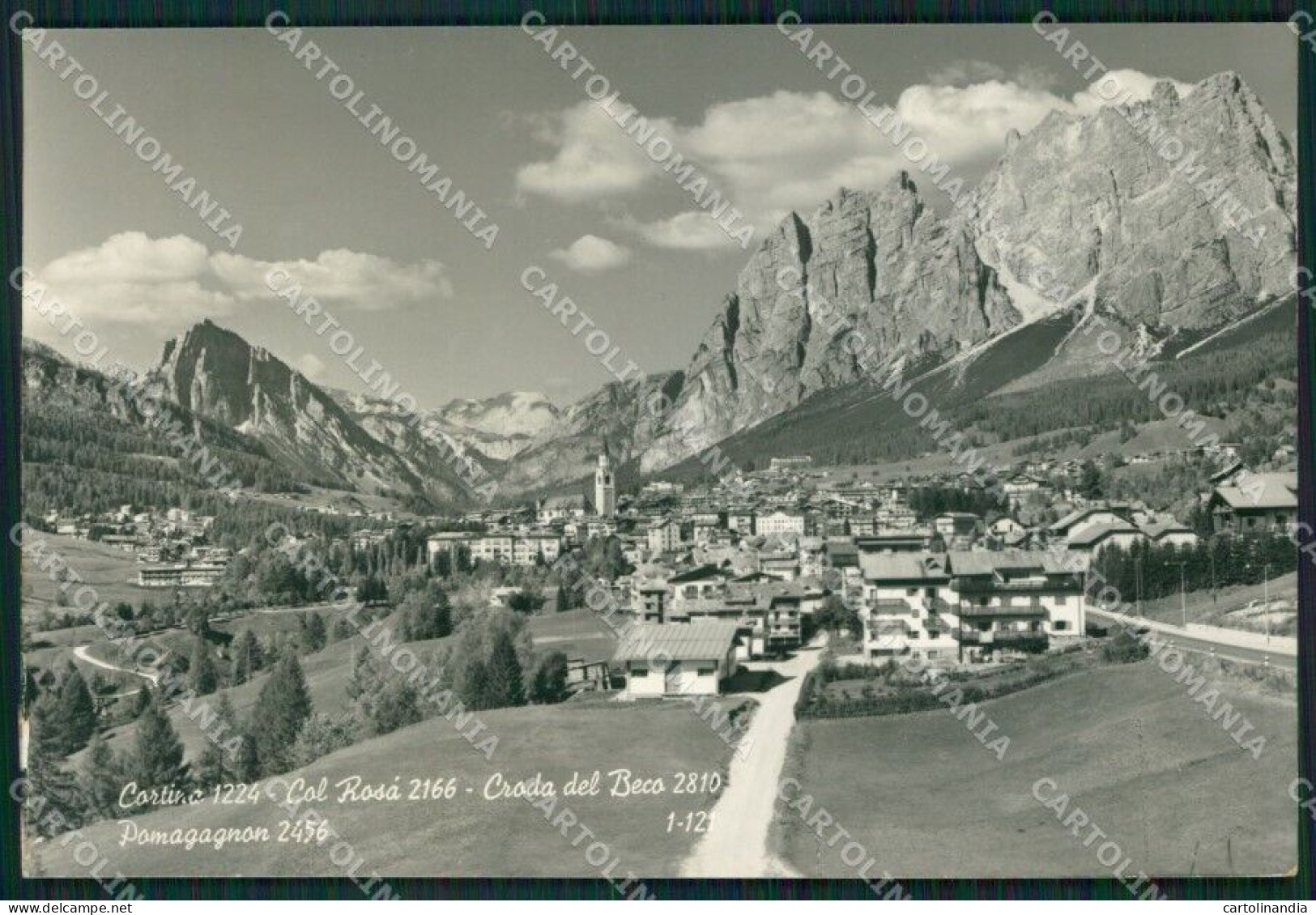 Belluno Cortina Foto FG Cartolina ZKM7121 - Belluno