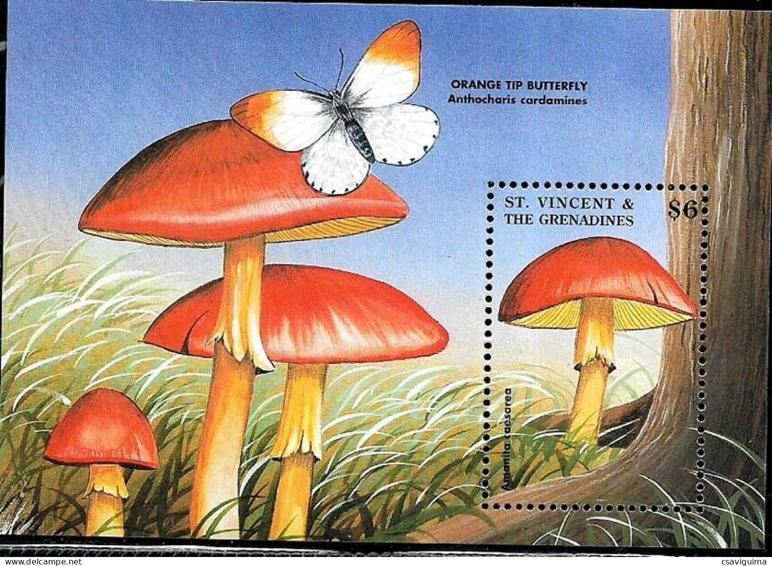 St Vincent - 1998 - Mushrooms - Yv Bf 407 - Pilze