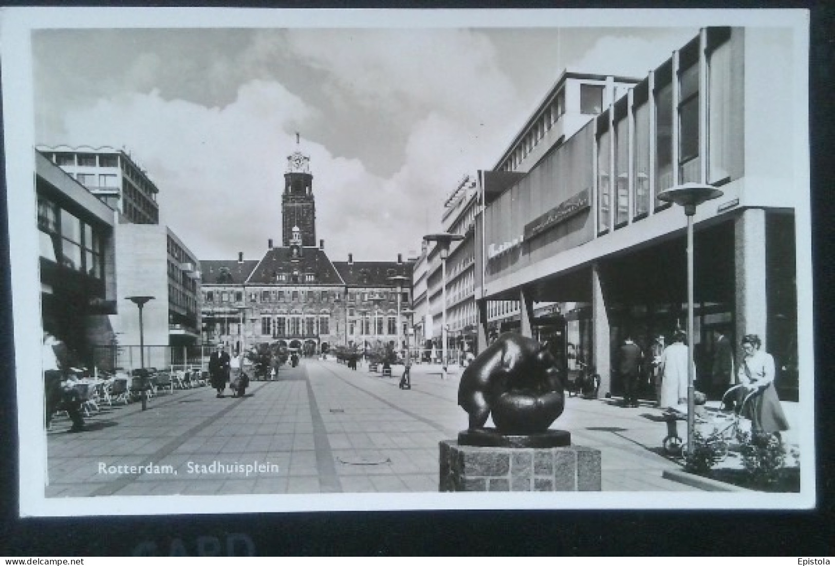 ► Nederland Pays-Bas  -  Sculpture  Ours Bear Stadhuisplein - Sculpturen