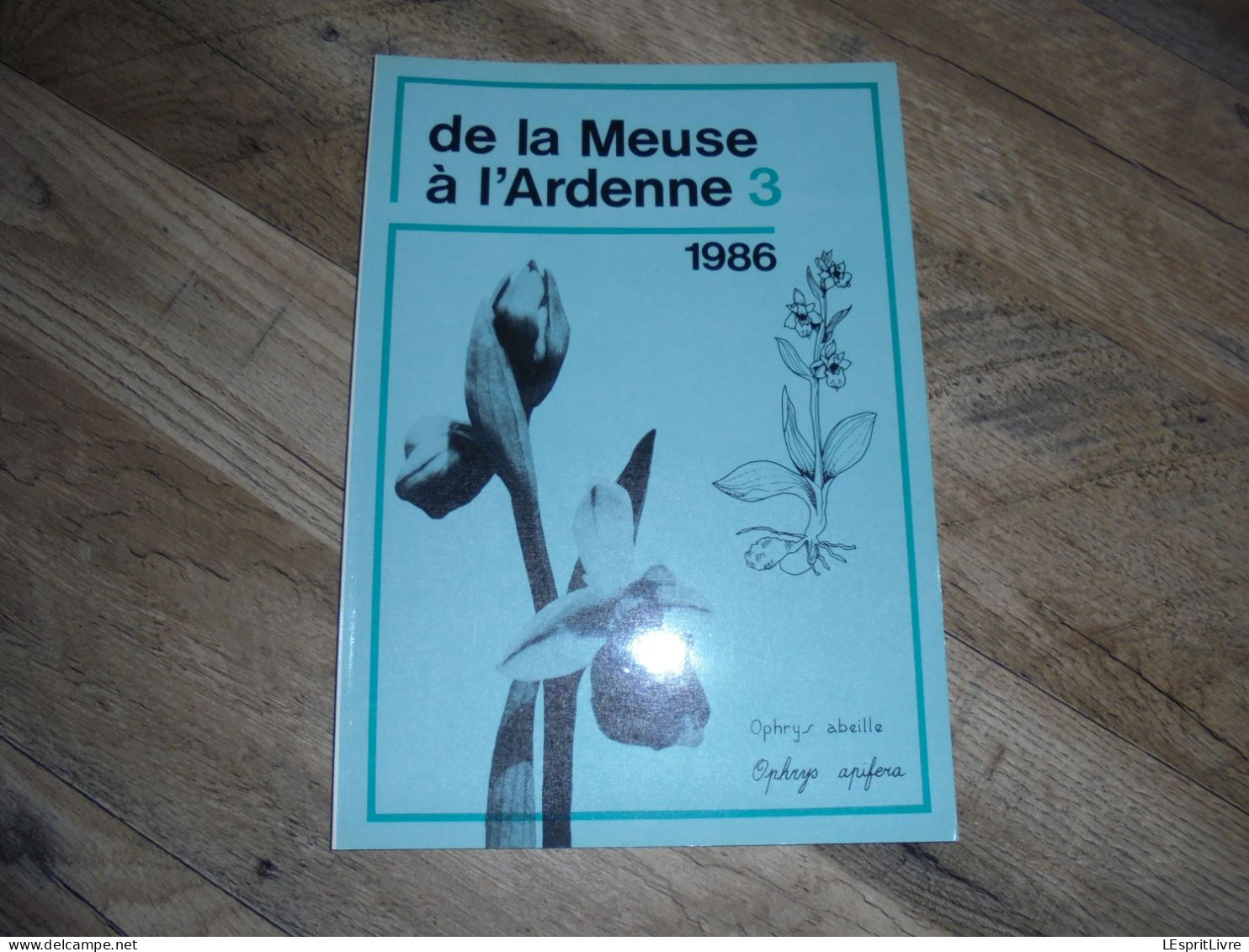 DE LA MEUSE A L ARDENNE N° 3 1986 Epuisé Régionalisme Marsolle Mirwart Calestienne Wellin Lesse Sobriquet Comète Halley - Belgique