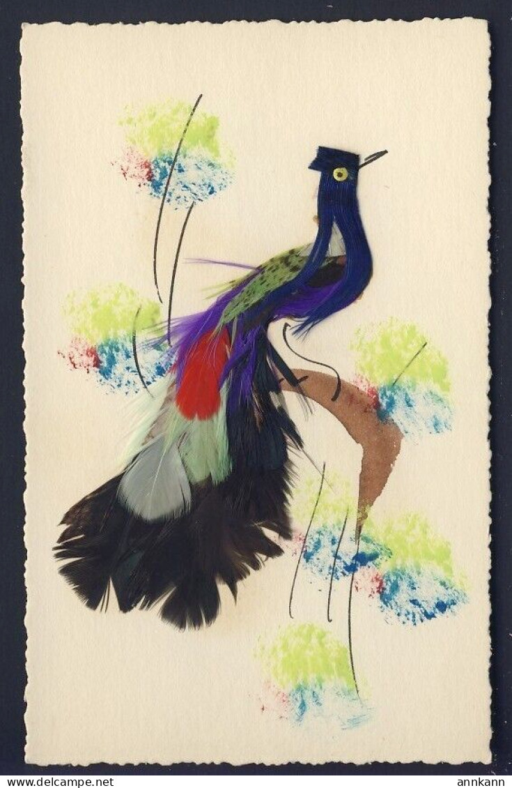 Exotic Bird - Handmade - Bird - Feathers, Blank Back Postcard - Vogels