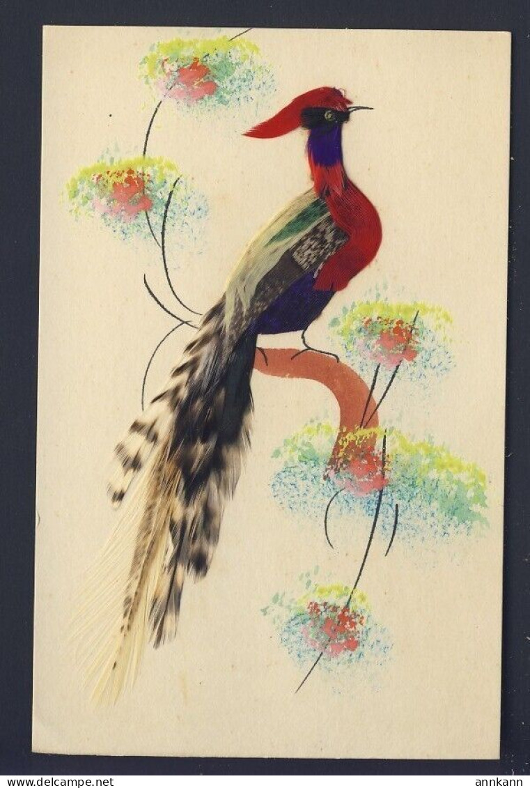 Exotic Bird - Handmade - Bird - Feathers, Blank Back Postcard - Vogels