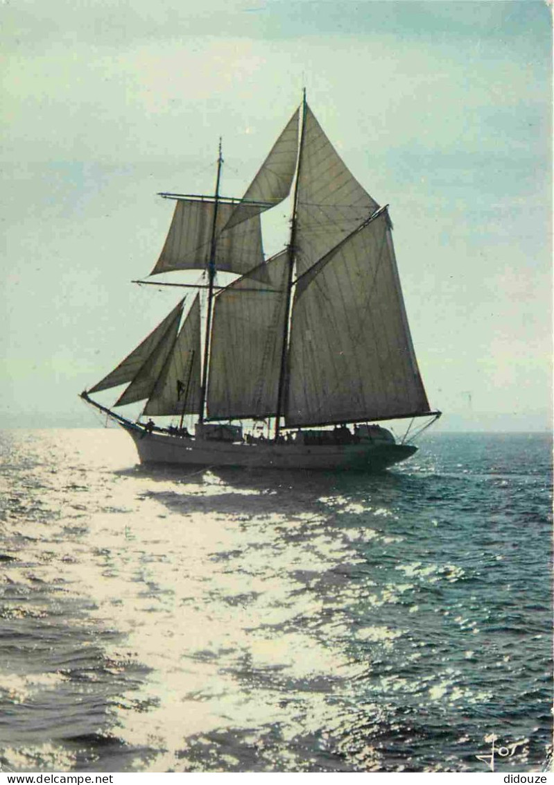 Bateaux - Voiliers - Bretagne - Une Barque Aux Voiles Blanches Court Là-bas - CPM - Voir Scans Recto-Verso - Zeilboten