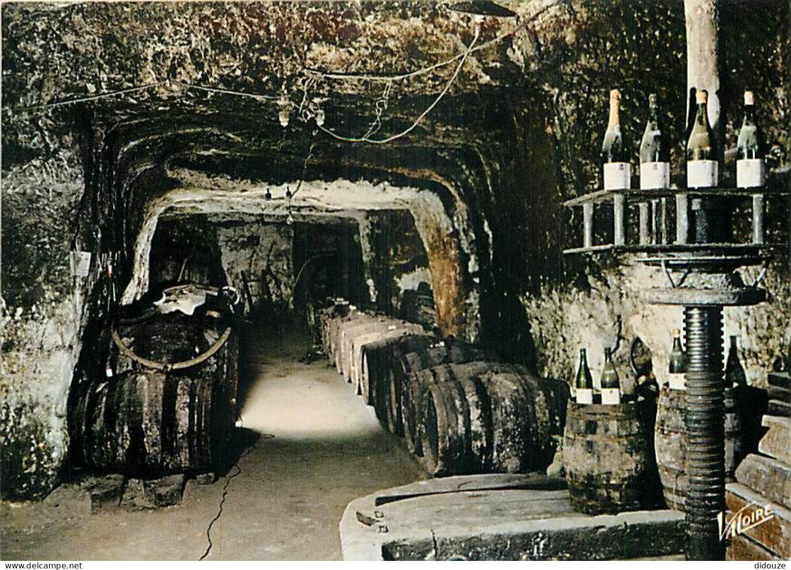 Vignes - Touraine - La Cave Au Pressoir - CPM - Carte Neuve - Voir Scans Recto-Verso - Vigne