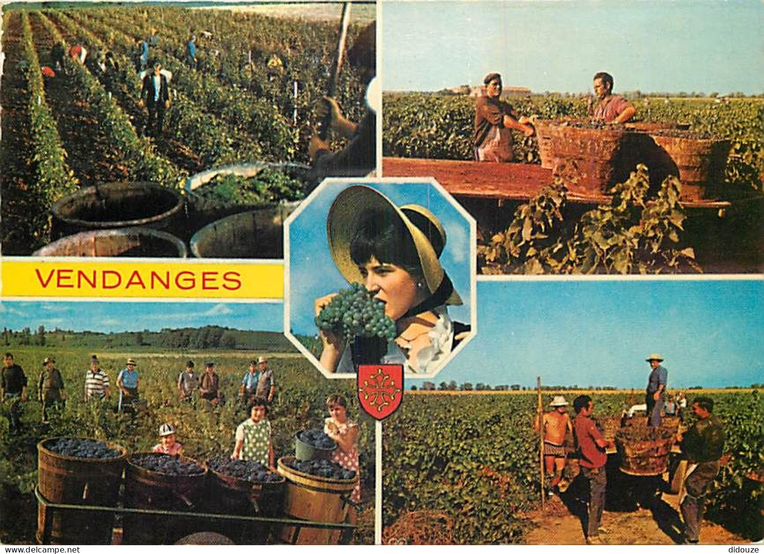 Vignes - Languedoc - Multivues - Vendanges - CPM - Flamme Postale - Voir Scans Recto-Verso - Wijnbouw