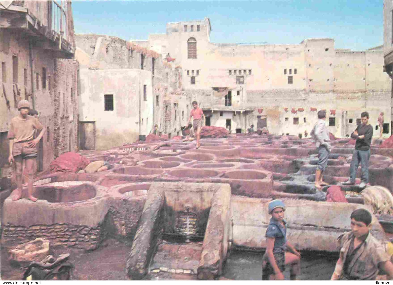 Maroc - Fez - Fès - Les Tanneries - CPM - Carte Neuve - Voir Scans Recto-Verso - Fez