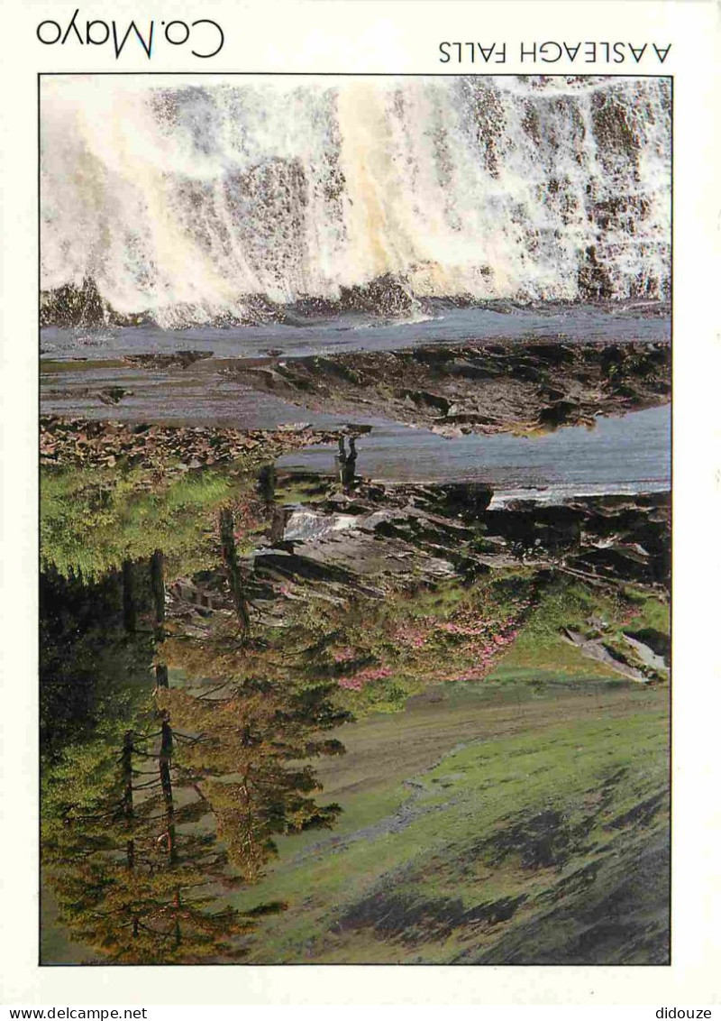 Irlande - Mayo - Aasleagh Falls - Erriff River - CPM - Carte Neuve - Voir Scans Recto-Verso - Mayo