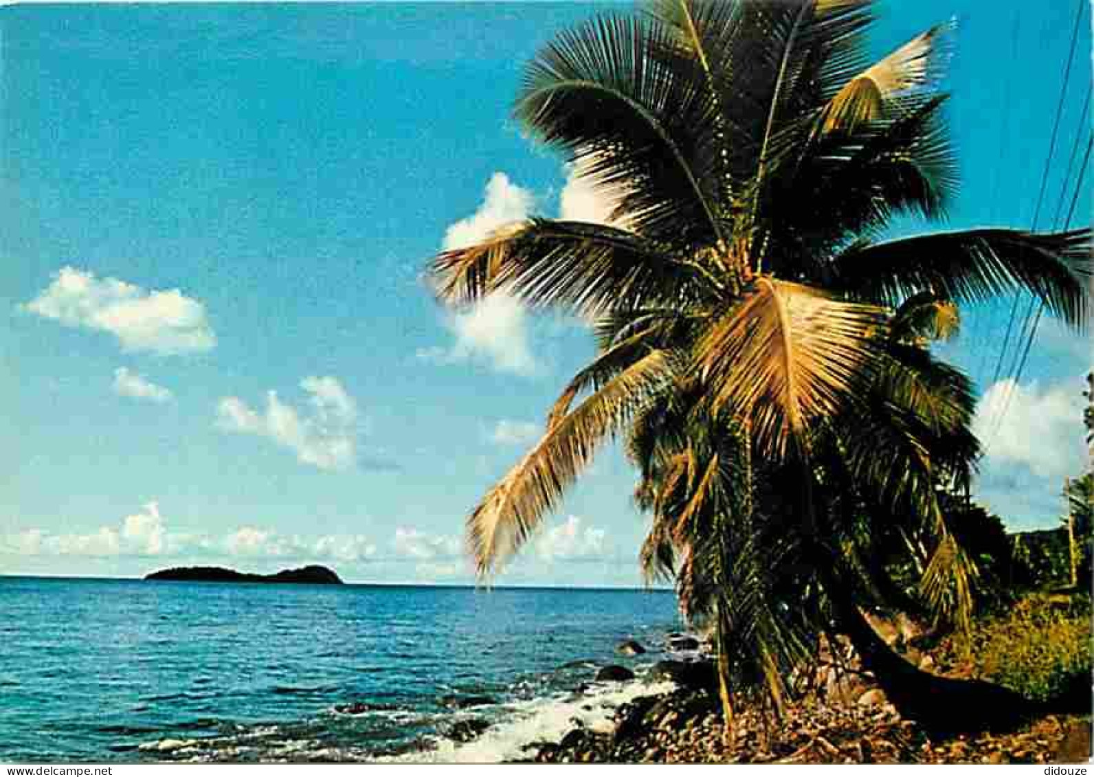 Antilles - Grève Caraibe - CPM - Voir Scans Recto-Verso - Autres & Non Classés