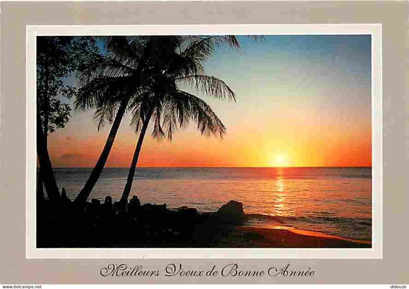 Antilles - Plage Paradisiaque - Coucher De Soleil - CPM - Voir Scans Recto-Verso - Andere & Zonder Classificatie