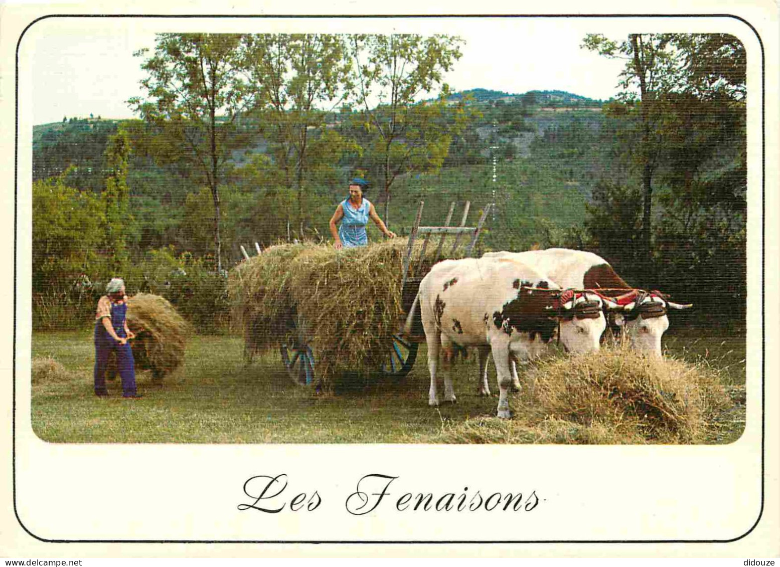 Animaux - Vaches - Les Fenaisons - Attelage De Bœufs - Paysans - CPM - Voir Scans Recto-Verso - Cows