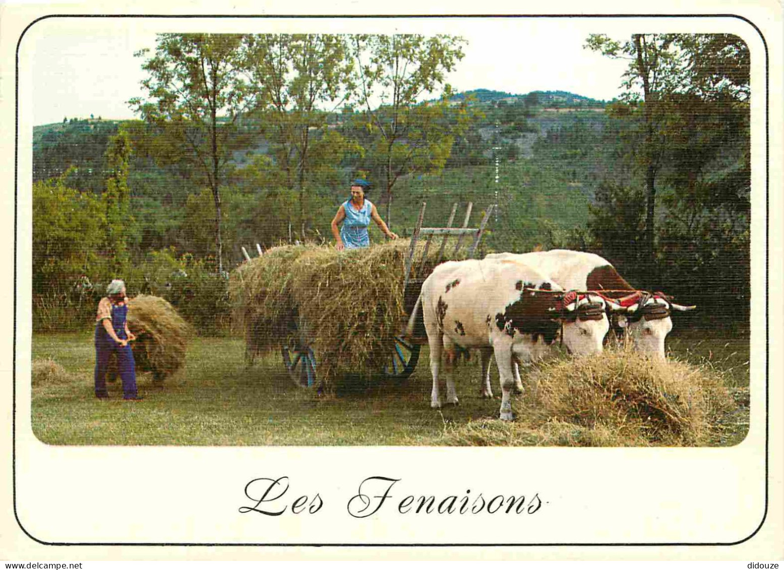 Animaux - Vaches - Les Fenaisons - Attelage De Bœufs - Paysans - CPM - Voir Scans Recto-Verso - Vaches