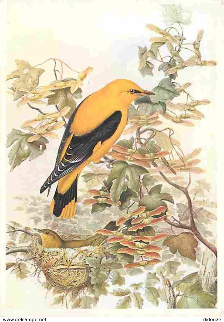 Animaux - Oiseaux - Loriot Jaune - Dessin De John Gould - CPM - Voir Scans Recto-Verso - Vogels